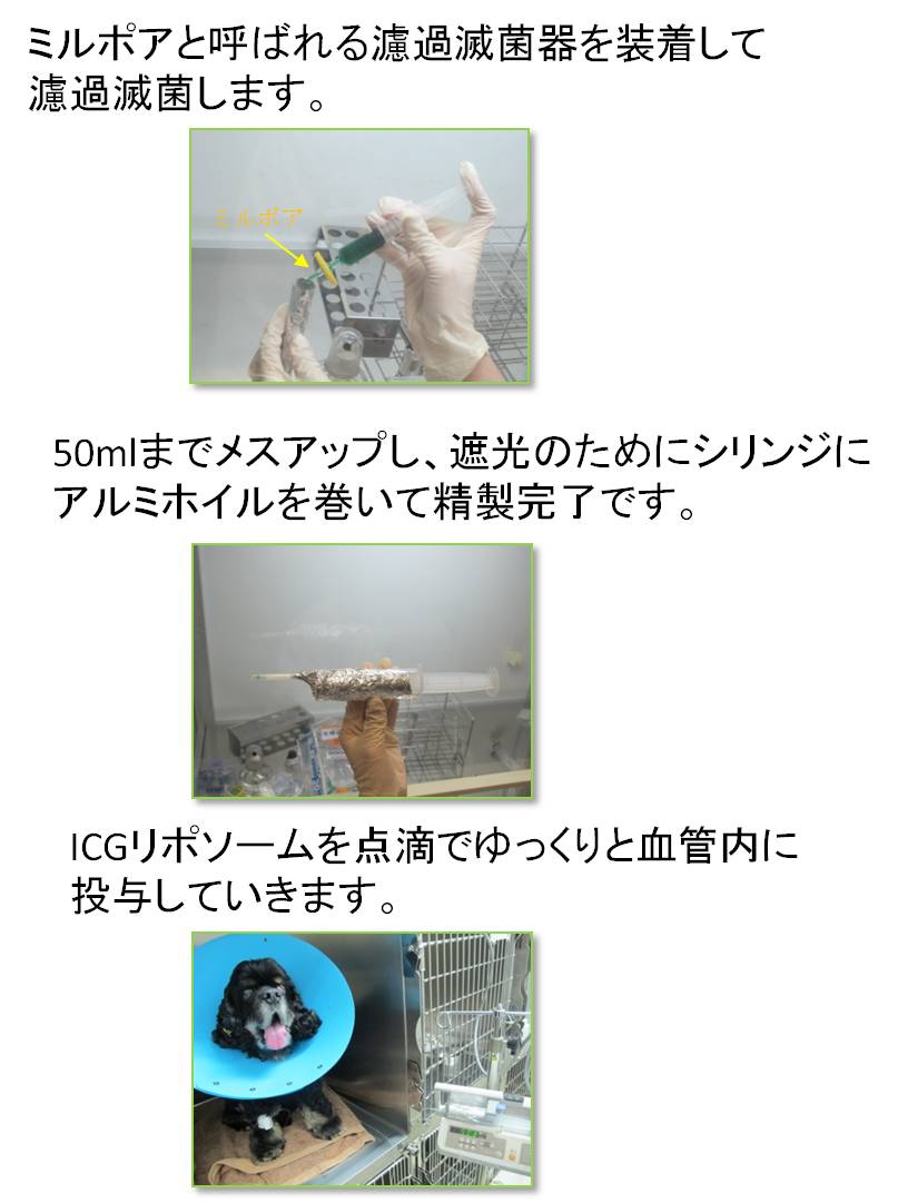 ICGリポソームの精製方法