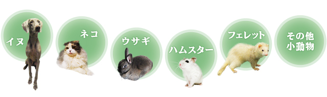 一般診療対象動物