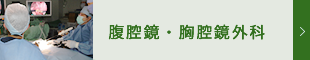 動物　腹腔鏡・胸腔鏡外科