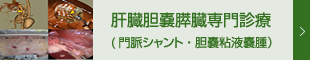 動物　肝臓胆嚢専門医診療