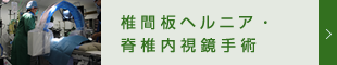 動物　椎間板ヘルニア・低侵襲脊椎外