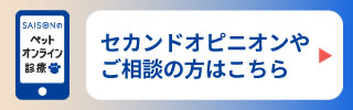 セカンドオピニオンやご相談の方はこちら