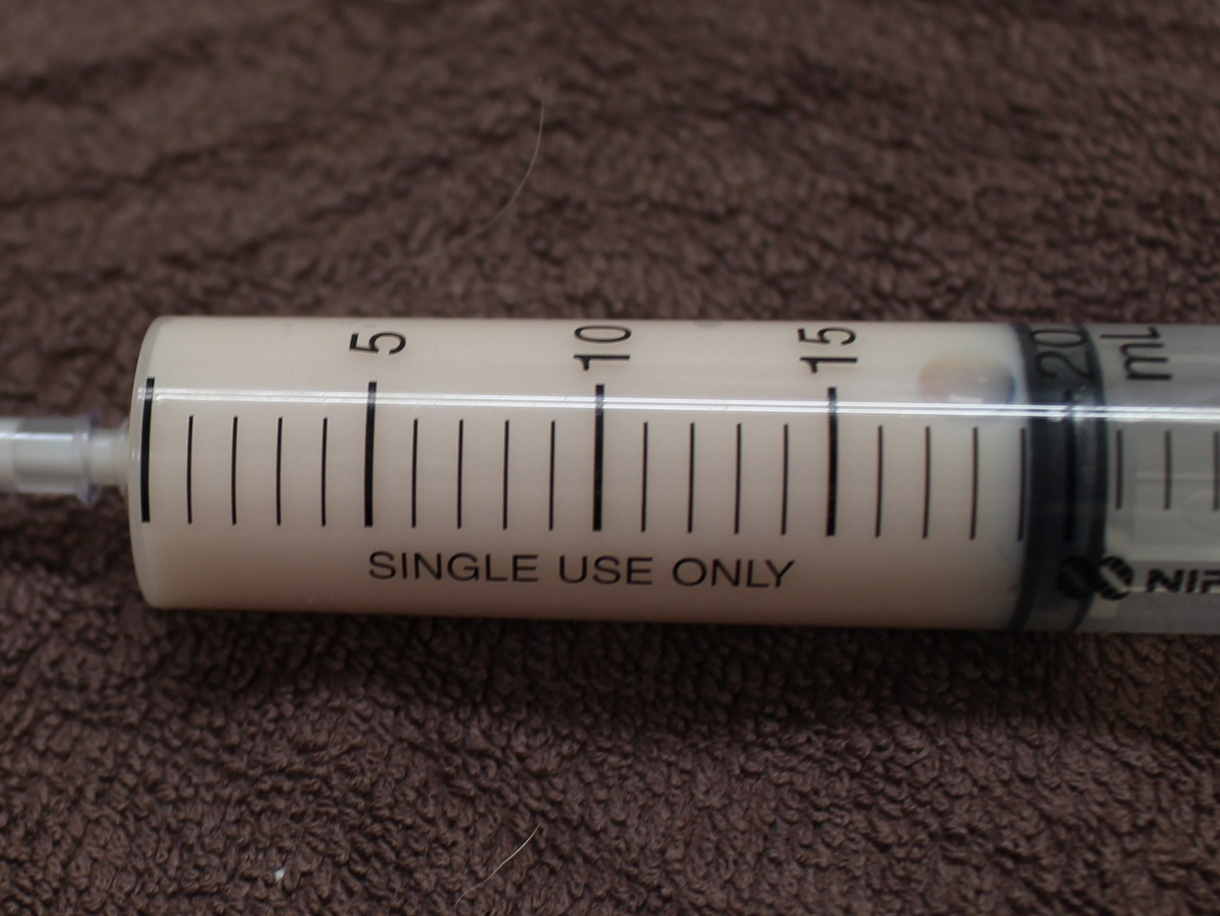 犬・猫の乳び胸（にゅうびきょう chylothorax）