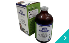 高濃度ビタミンC療法