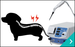 椎間板ヘルニア従来通りの治療