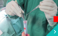 脊髄損傷再生医療